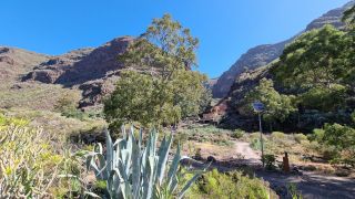 2023-04-GranCan-Guayadeque-013.jpg